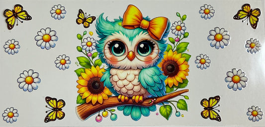 Teal Owl